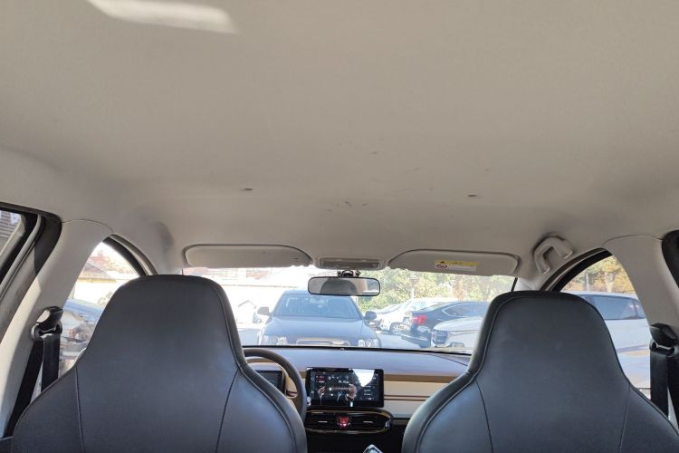 思皓 2022款 花仙子款 四叶草局部细节22