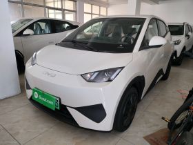 比亚迪 海鸥 2025款 305km 活力版