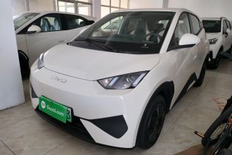 比亚迪 海鸥 2025款 305km 活力版