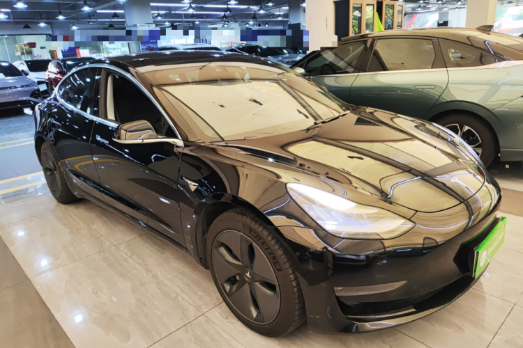 特斯拉 Model 3(进口) 2019款 长续航后驱版车身外观6002