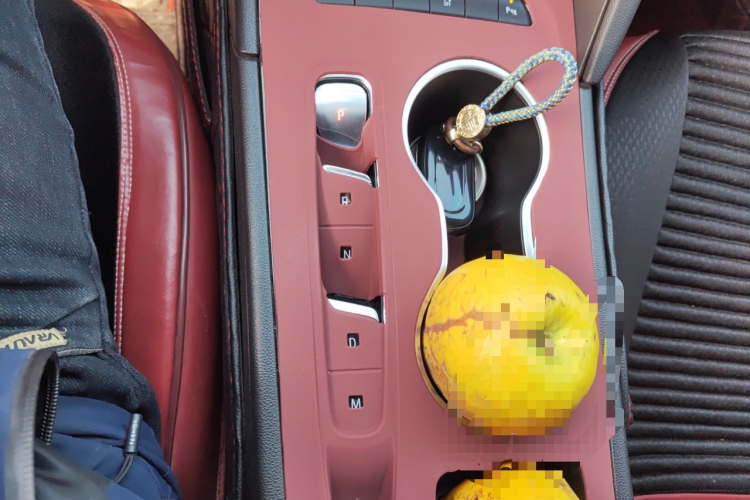 别克 君威 2024款 25T 超享版中控内饰18