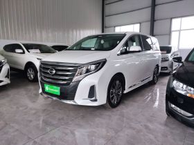 广汽传祺 传祺M8 2020款 领航款 390T 尊贵版