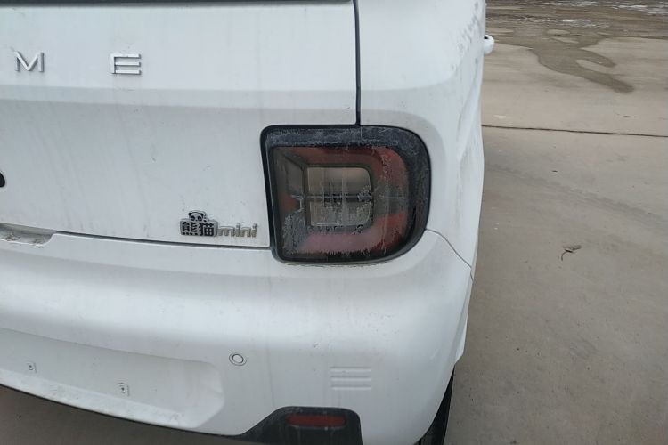 吉利银河 2024款 熊猫mini 200km 耐力熊车身外观9