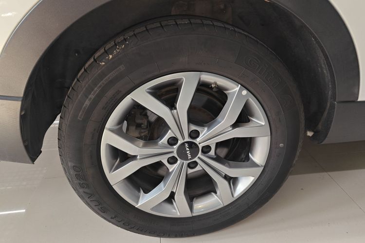 哈弗H6 2021款 国潮版 1.5GDIT 自动冠军版车身外观6008