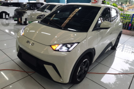 比亚迪 海鸥 2024款 荣耀版 305km 自由版