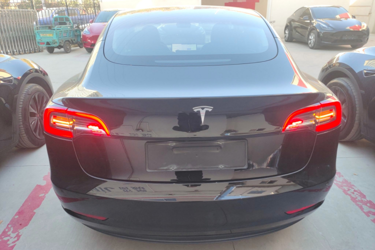 特斯拉 Model 3 2021款 标准续航后驱升级版车身外观6004