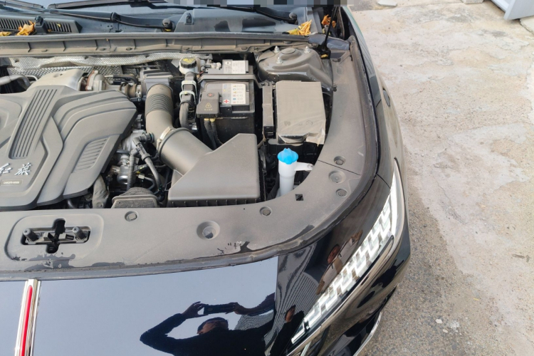 红旗H6 2023款 2.0T 致逸版局部细节9007