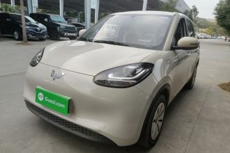 五菱汽车 五菱缤果 2024款 203km 轻享款