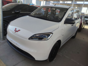 五菱汽车 五菱宏光新能源 2024款 纯电版 300KM 实用型