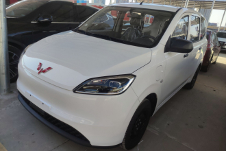 五菱汽车 五菱宏光新能源 2024款 纯电版 300KM 实用型