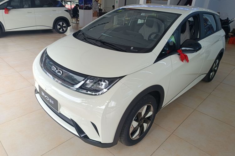 比亚迪 海豚 2025款 420km 自由版车身外观1