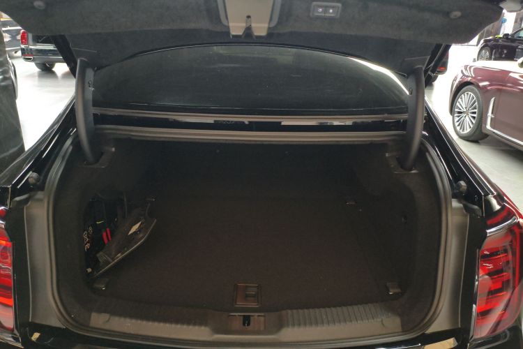 红旗H9 2025款 2.0T 两驱旗享豪华商务版 5座机舱底盘23