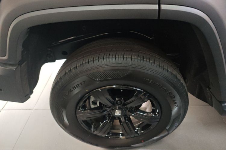 坦克300 2025款 2.4T 柴油版车身外观6008