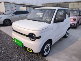 吉利银河 熊猫 2025款 210km 元气熊