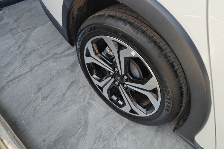 福特 福克斯 2021款 猎装版 EcoBoost 180 自动猎潮型车身外观6008