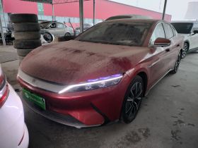 比亚迪 汉 2020款 EV 四驱高性能版旗舰型