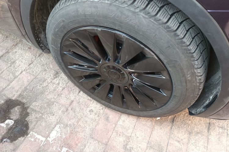 特斯拉 Model Y 2023款 长续航全轮驱动版车身外观6007