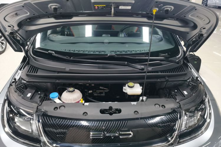 比亚迪 海豚 2021款 405km 时尚版机舱底盘24