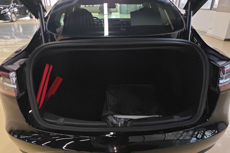 特斯拉 Model 3 2019款 标准续航后驱升级版局部细节23