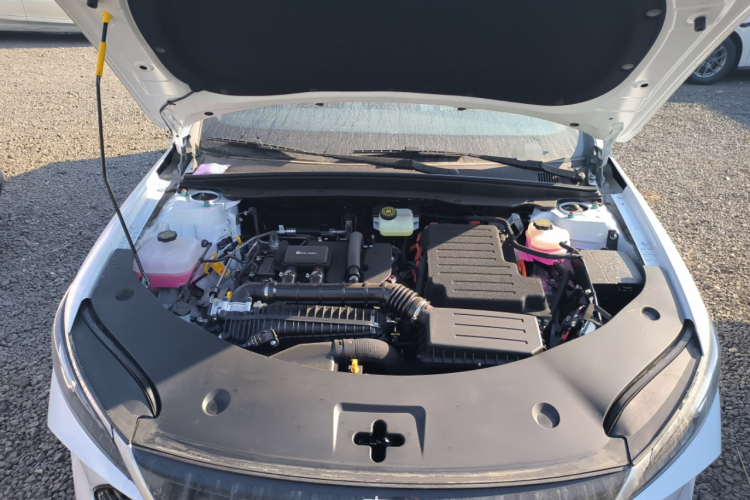 比亚迪 秦PLUS 2025款 DM-i 智驾版 55KM领先型机舱底盘24