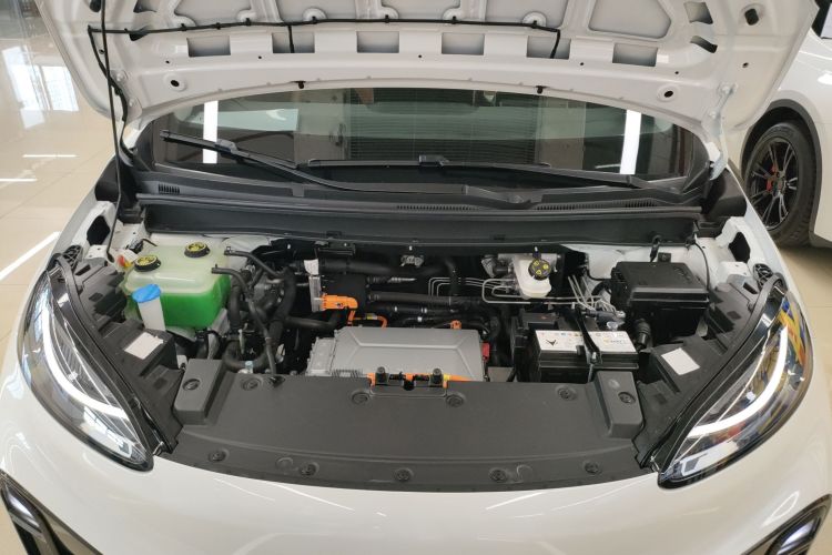 ARCFOX极狐 极狐考拉 2023款 家庭版Pro局部细节24