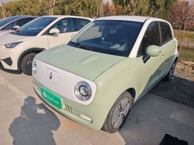 欧拉黑猫 2022款 301km 萌动型 磷酸铁锂