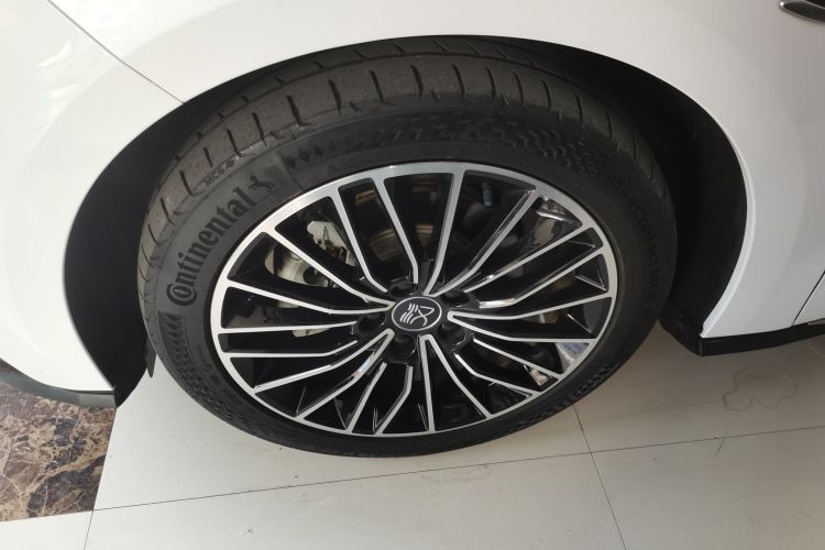 比亚迪 汉 2021款 EV 标准续航版豪华型车身外观6007