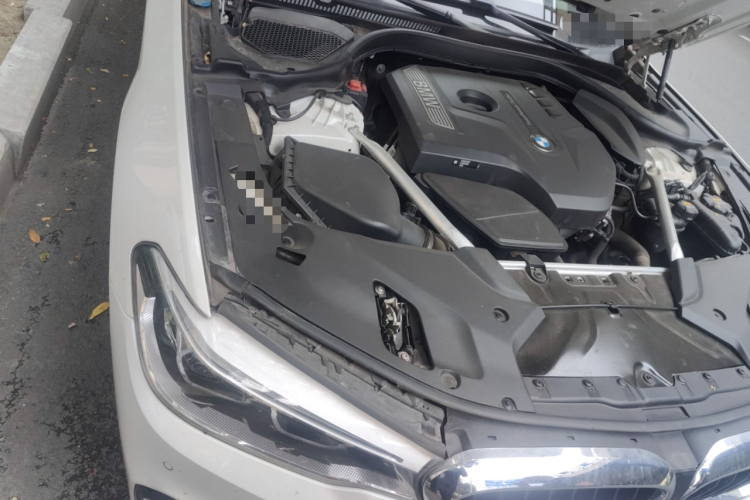 宝马5系 2020款 530Li 领先型 M运动套装局部细节9006