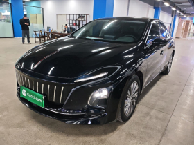 红旗E-QM5 2024款 500km 出行版