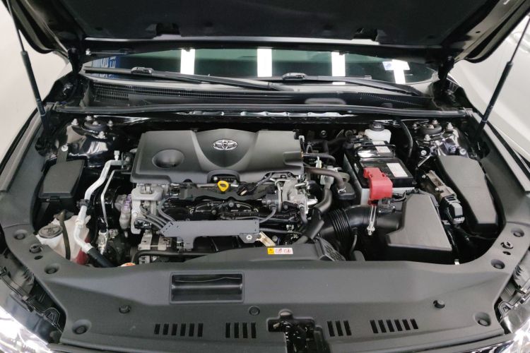 丰田 亚洲龙 2019款 2.5L 进取版 国VI局部细节24