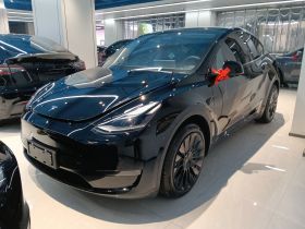 特斯拉 Model Y 2021款 长续航全轮驱动版