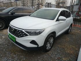 捷达VS5 2019款 280TSI 自动进取型