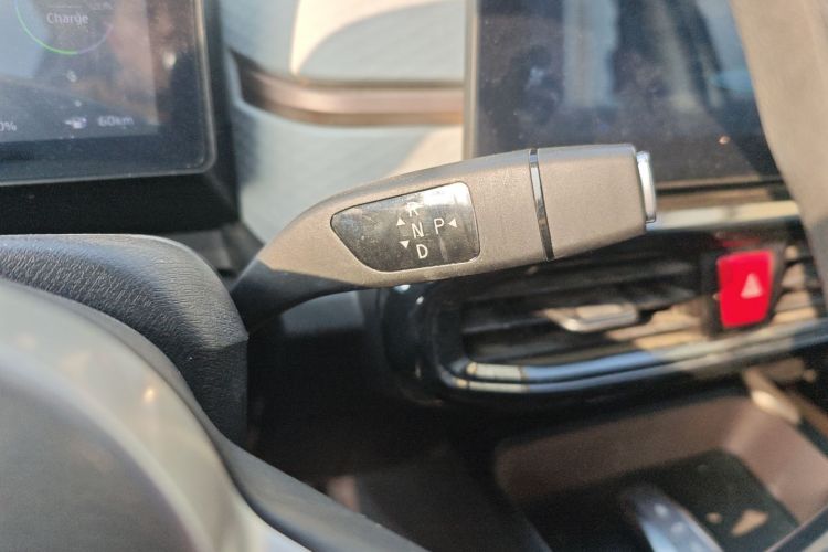 思皓 2022款 花仙子款 四叶草局部细节18