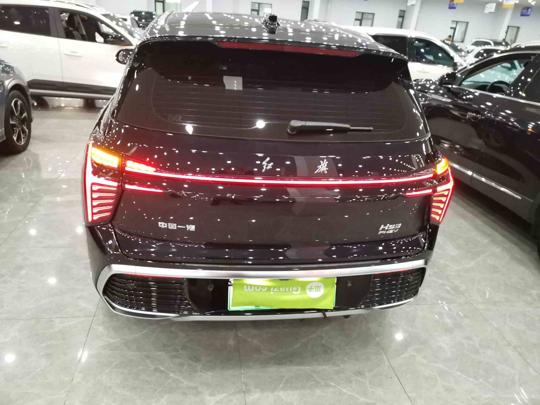 红旗HS3 PHEV 2024款 115km 劲为版(5)