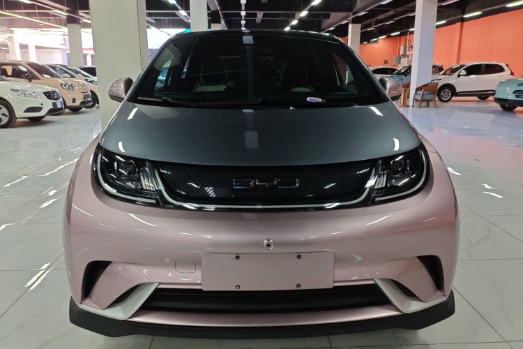 比亚迪 海豚 2021款 401km 骑士版车身外观6001