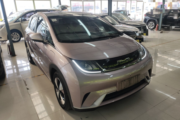 比亚迪 海豚 2023款 420km 时尚版车身外观3