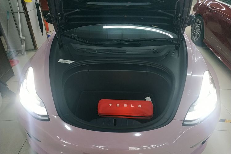 特斯拉 Model 3(进口) 2019款 长续航后驱版机舱底盘24