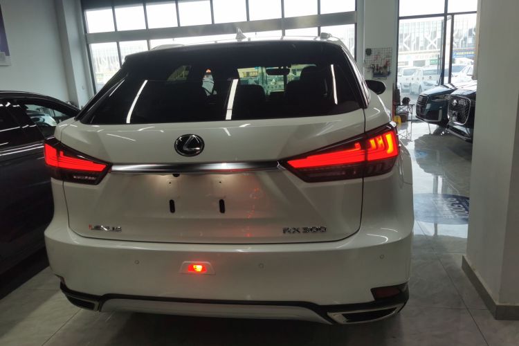 雷克萨斯RX 2020款 改款 300 两驱精英版车身外观6