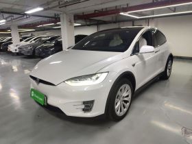 特斯拉 Model X 2019款 长续航版