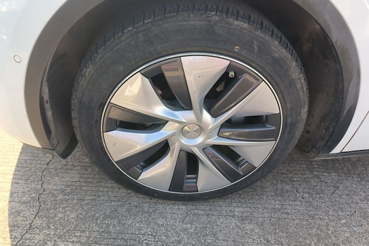 特斯拉 Model Y 2021款 改款二 长续航全轮驱动版车身外观6007