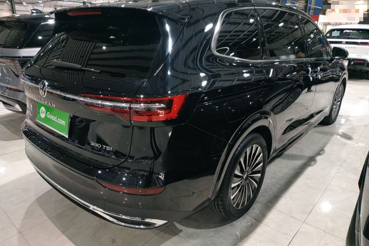 大众 威然 2024款 380TSI 尊贵版车身外观7