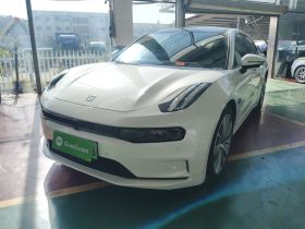 极氪001 2021款 超长续航单电机 WE版