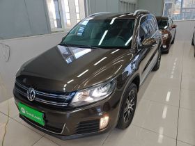 大众 途观 2013款 1.8TSI 自动两驱豪华型