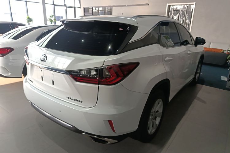 雷克萨斯RX 2016款 300 两驱舒适版 国V车身外观7