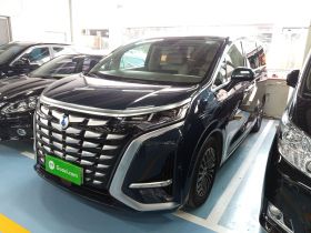 腾势D9 2022款 DM-i 970 四驱旗舰型