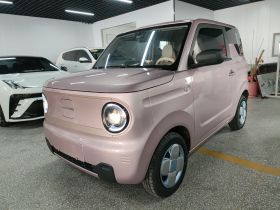 吉利银河 2023款 熊猫mini 200km 耐力熊