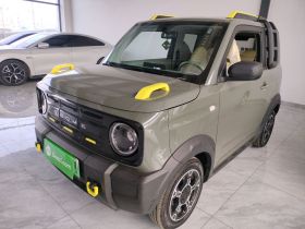 吉利银河 2025款 210km 熊猫骑士