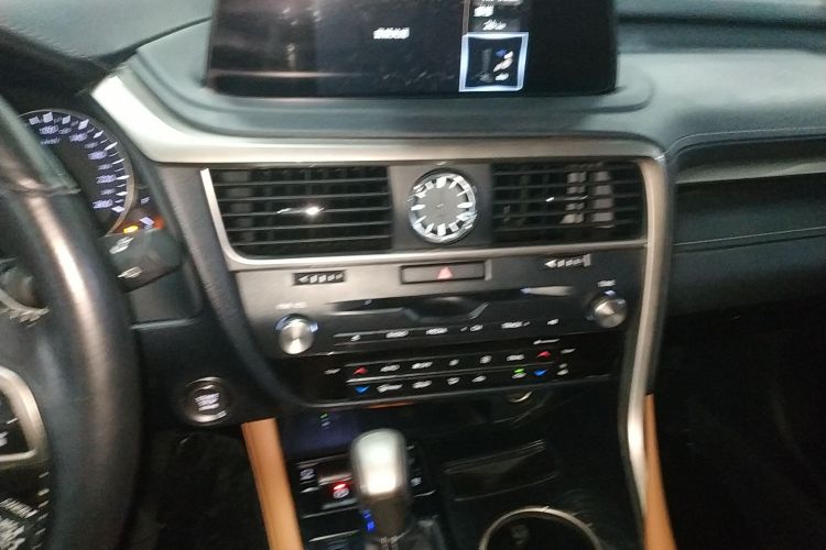 雷克萨斯RX 2020款 300 四驱典雅版 国VI局部细节16