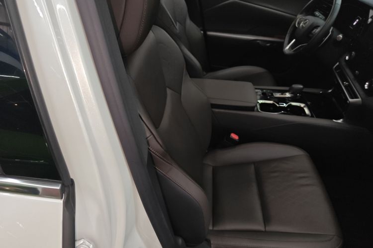 雷克萨斯RX 2023款 350h 四驱醇享版局部细节41