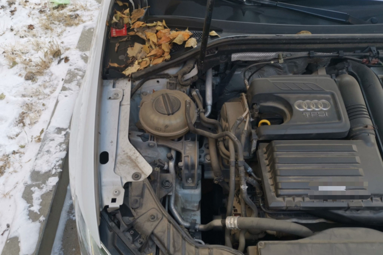 奥迪A3 2014款 Sportback 35 TFSI 自动舒适型局部细节9006